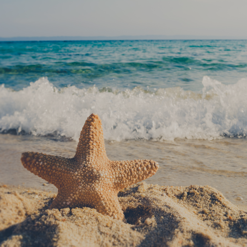 Publicaciones IG (8)