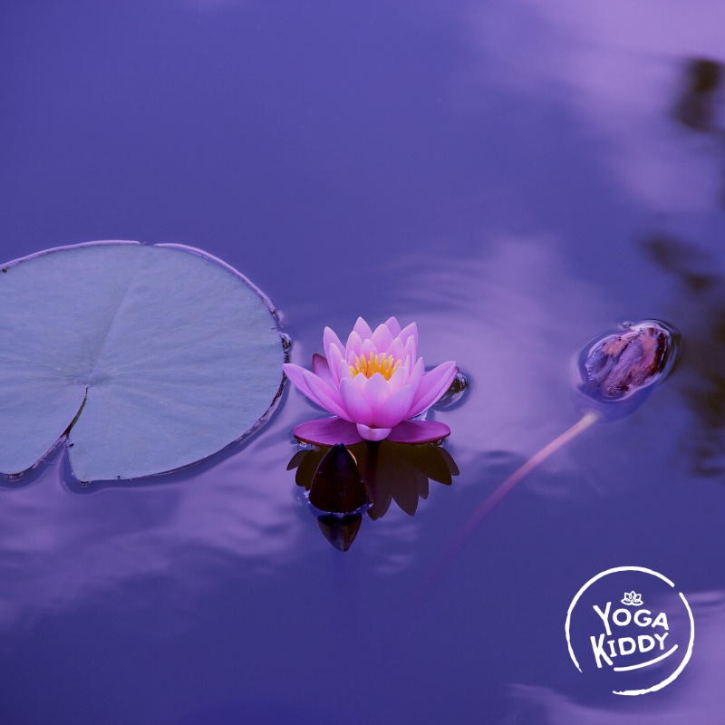 relajacion niños y niñas yoga infantil