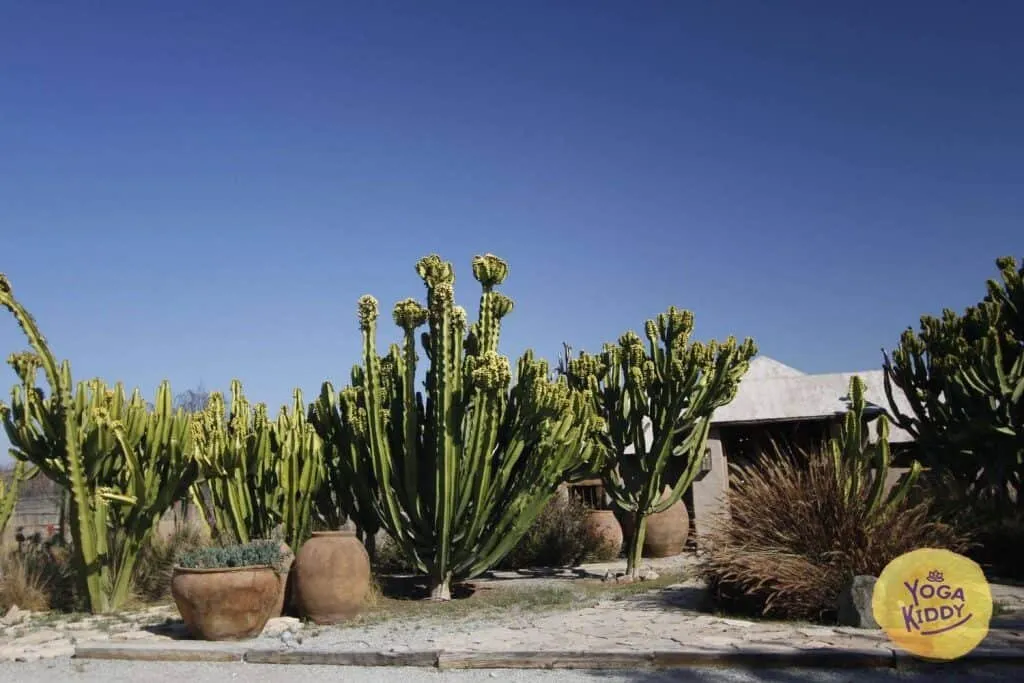 yoga-para-ninos-formacion-yogakiddy-0250-1024x683