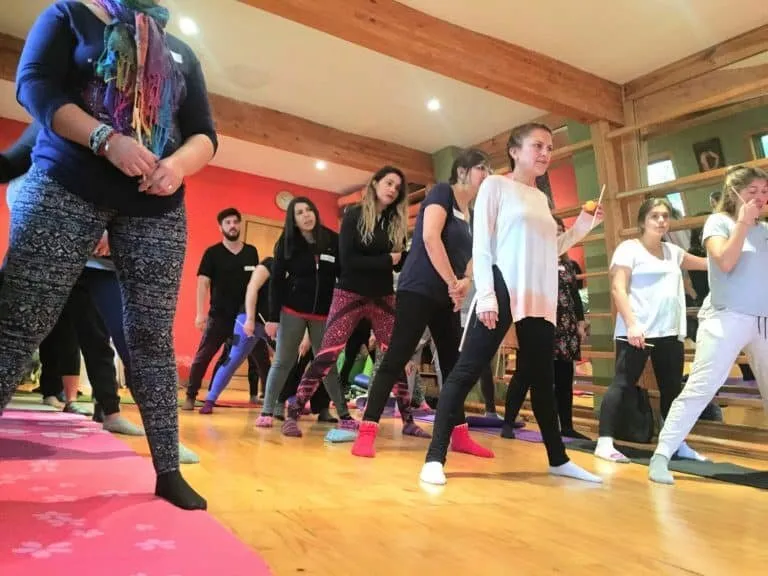 Yoga-niños-santiago-chile-Formación-Internacional-de-Monitor-de-Yoga-Infantil1-768x576