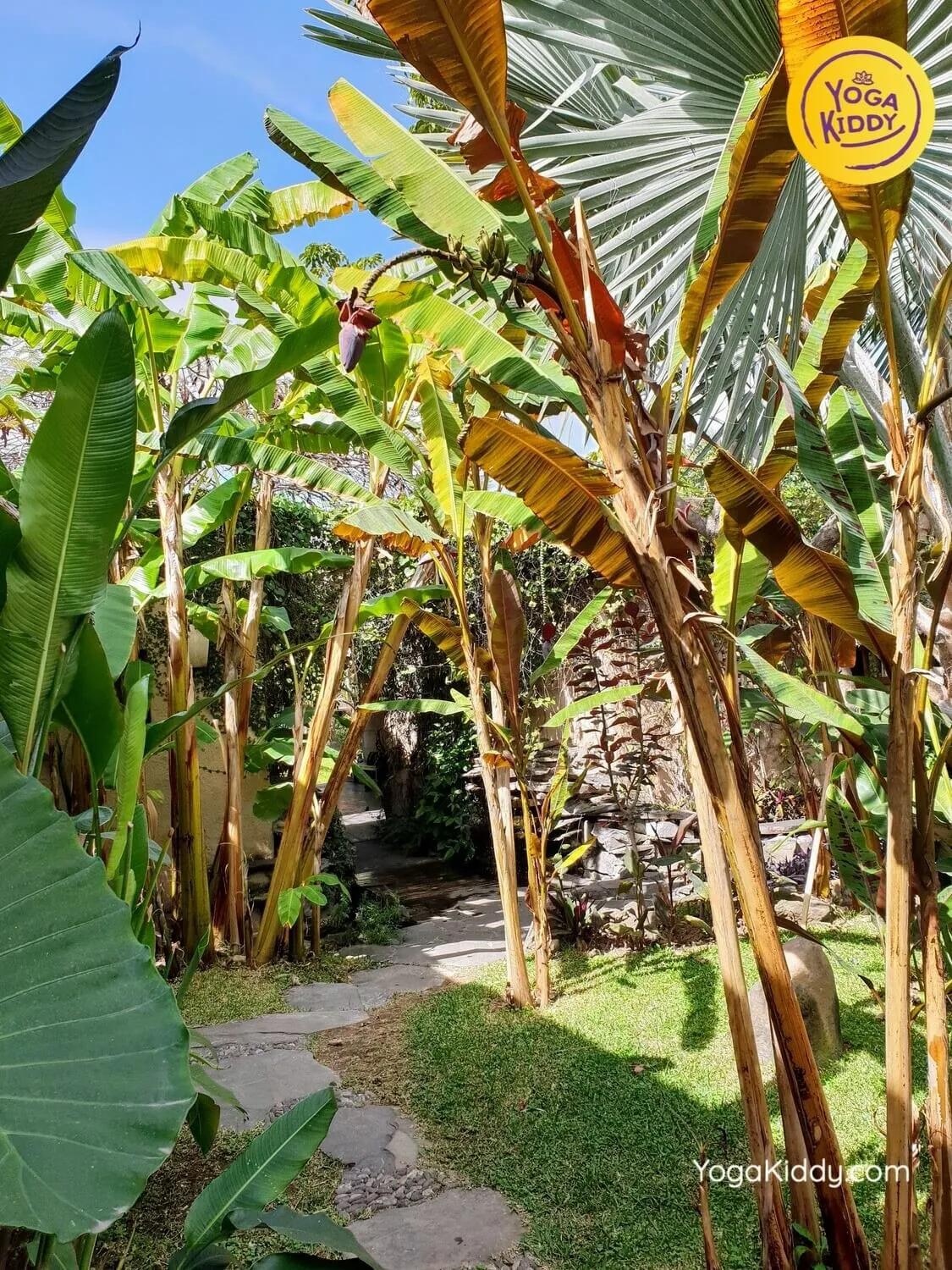 yoga niños guadalajara mexico yogakiddy 2